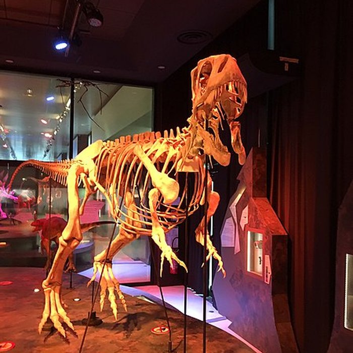 Photo de Musée paléontologique
