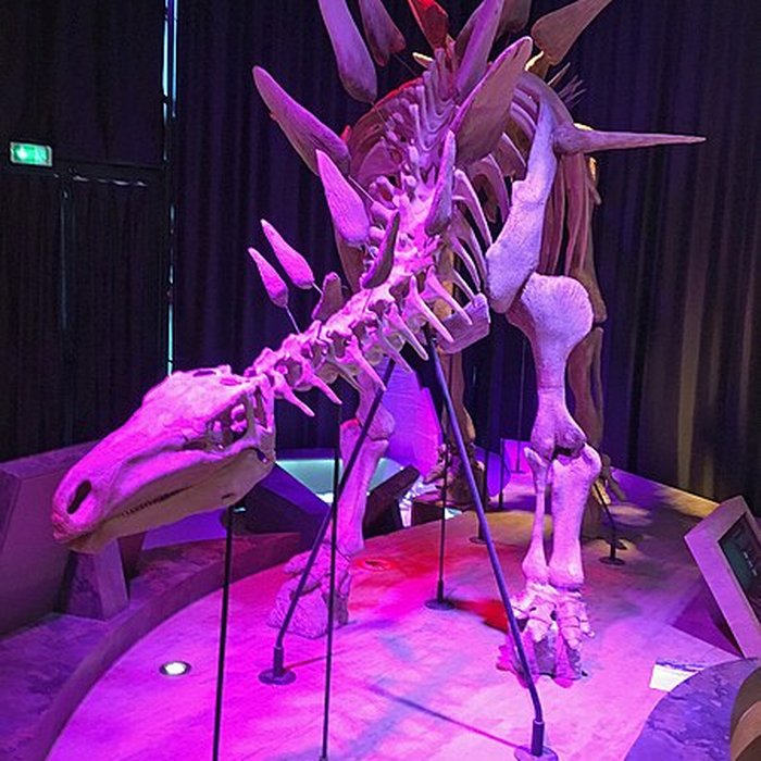 Photo de Musée paléontologique