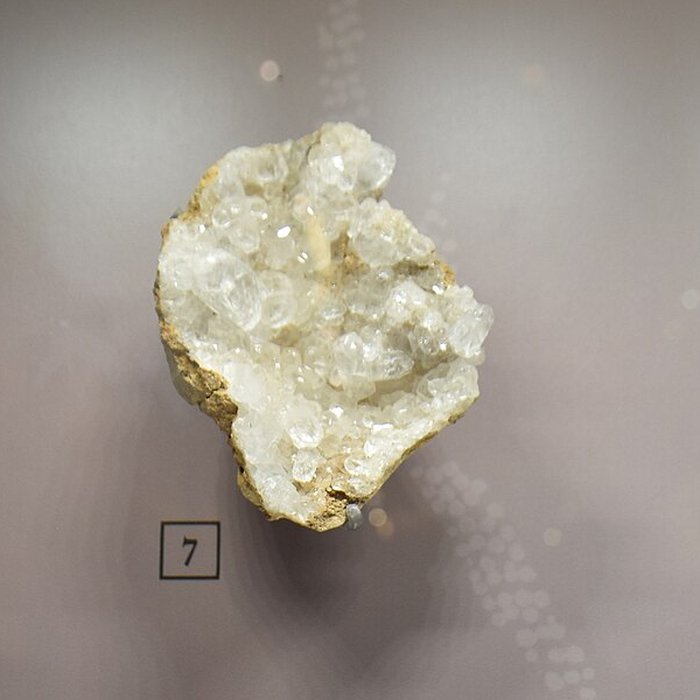 Photo de Musée paléontologique