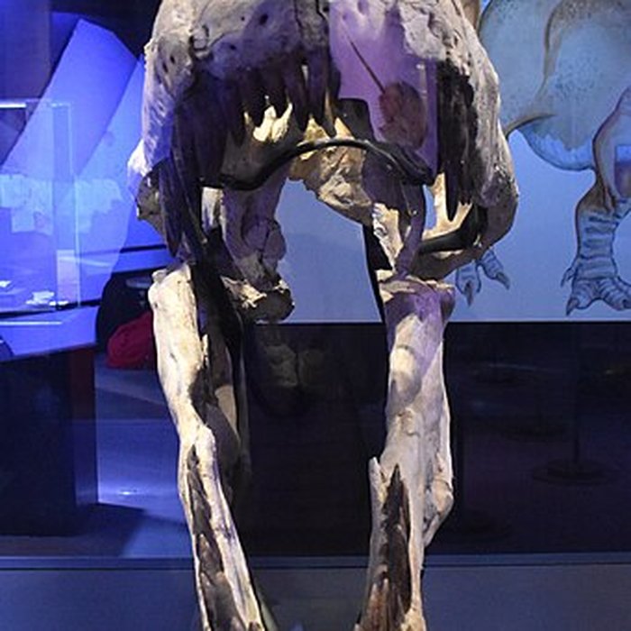 Photo de Musée paléontologique