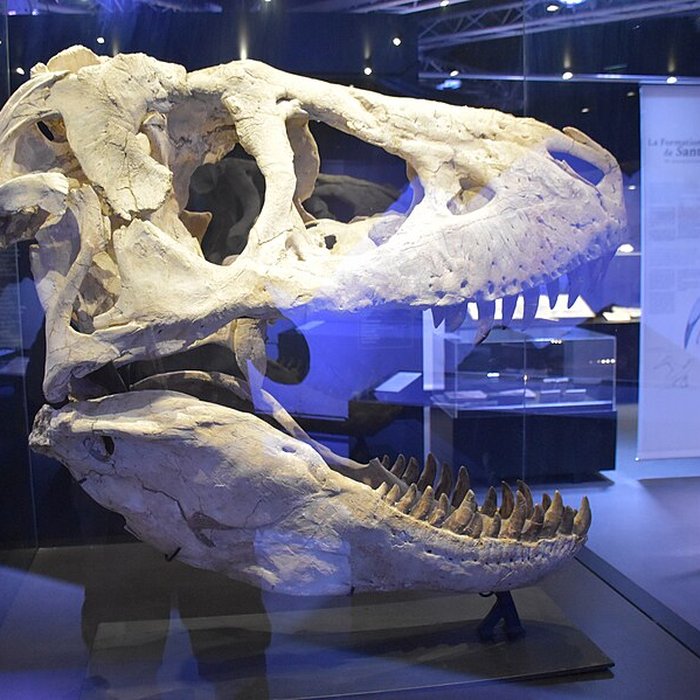 Photo de Musée paléontologique