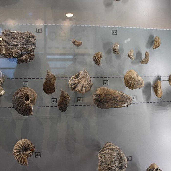 Photo de Musée paléontologique