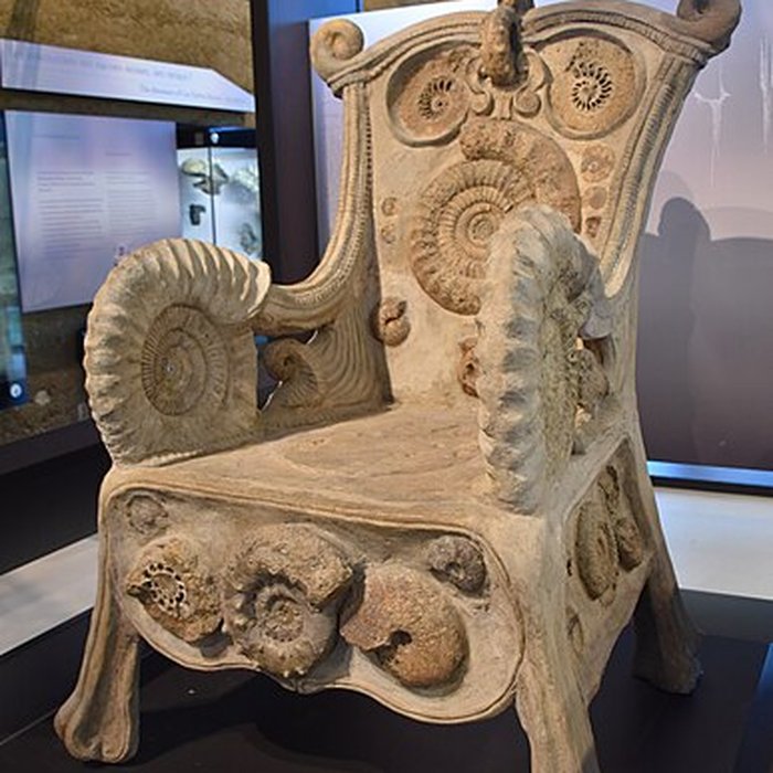 Photo de Musée paléontologique