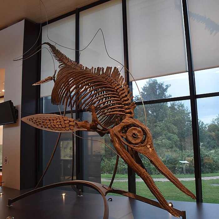 Photo de Musée paléontologique