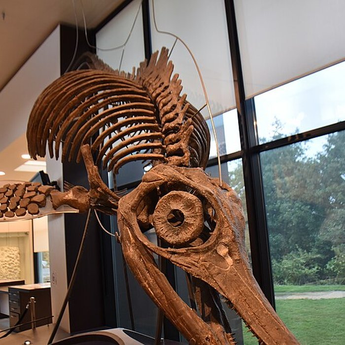 Photo de Musée paléontologique