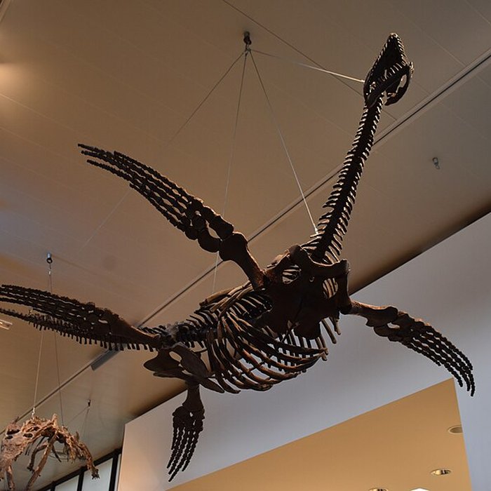 Photo de Musée paléontologique