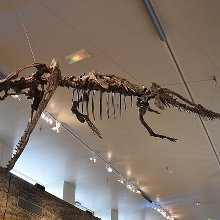 Photo de Musée paléontologique