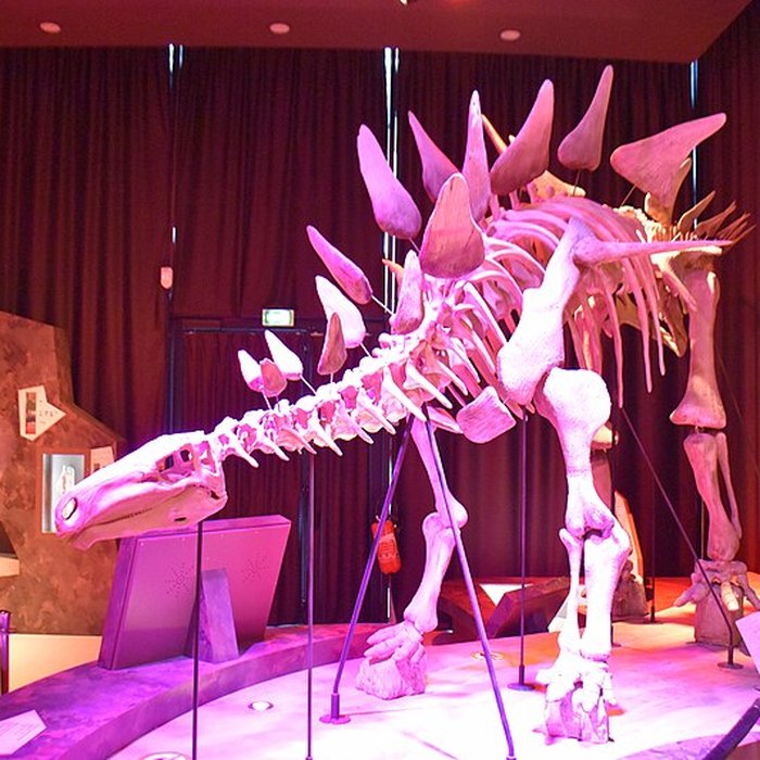 Photo de Musée paléontologique