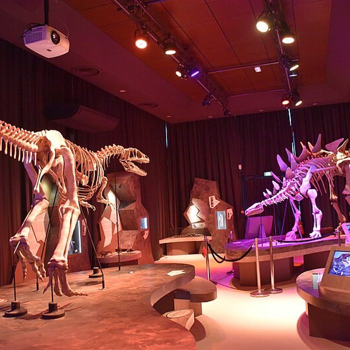 Photo de Musée paléontologique