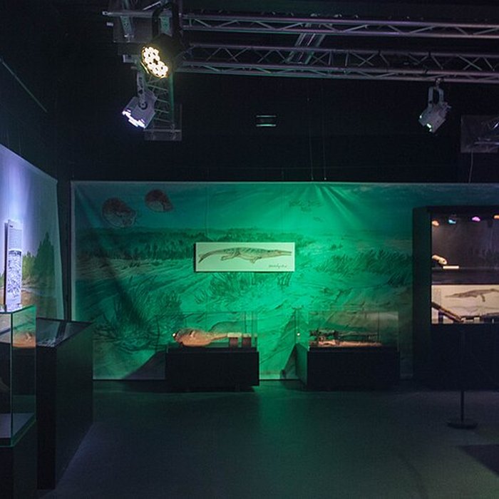 Photo de Musée paléontologique