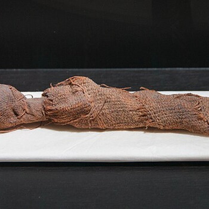 Photo de Musée paléontologique