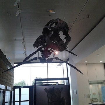 Musée paléontologique