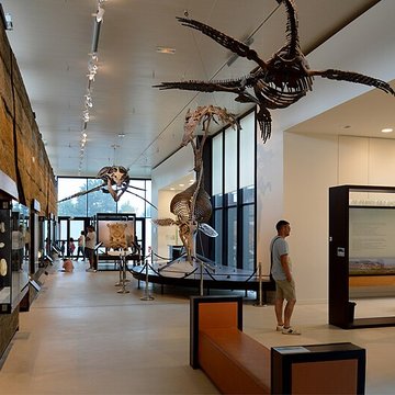 Musée paléontologique