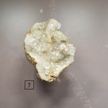 Musée paléontologique