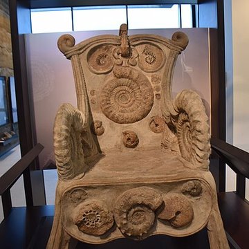 Musée paléontologique