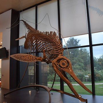 Musée paléontologique