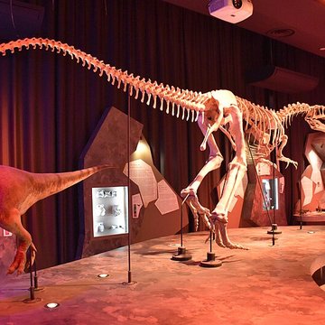 Musée paléontologique