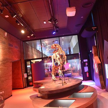 Musée paléontologique