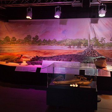 Musée paléontologique