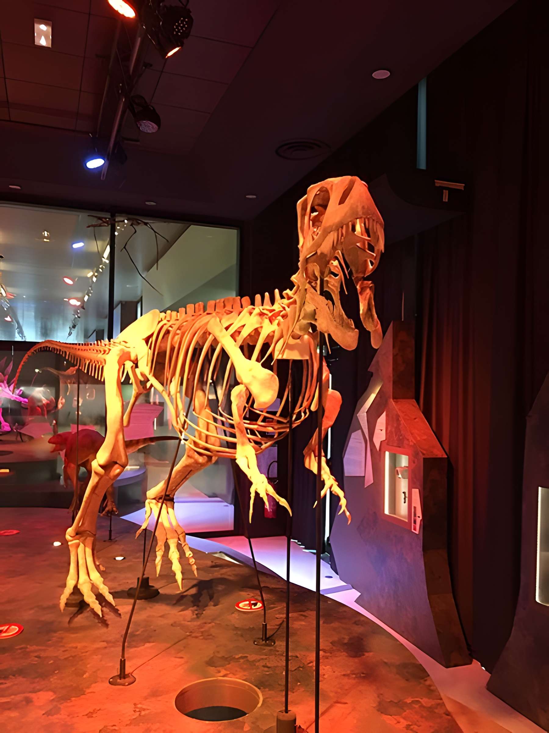 Musée paléontologique