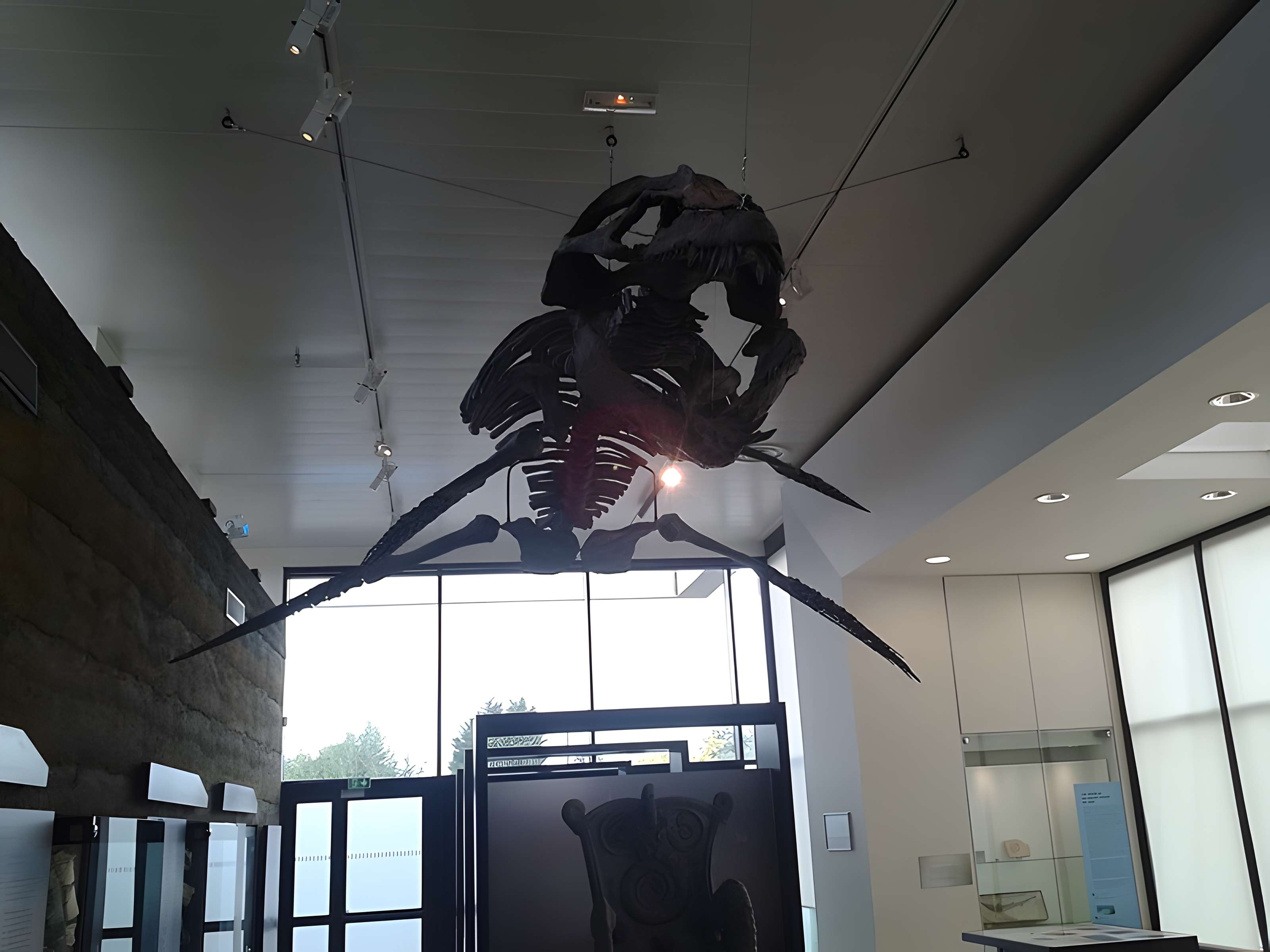 Musée paléontologique