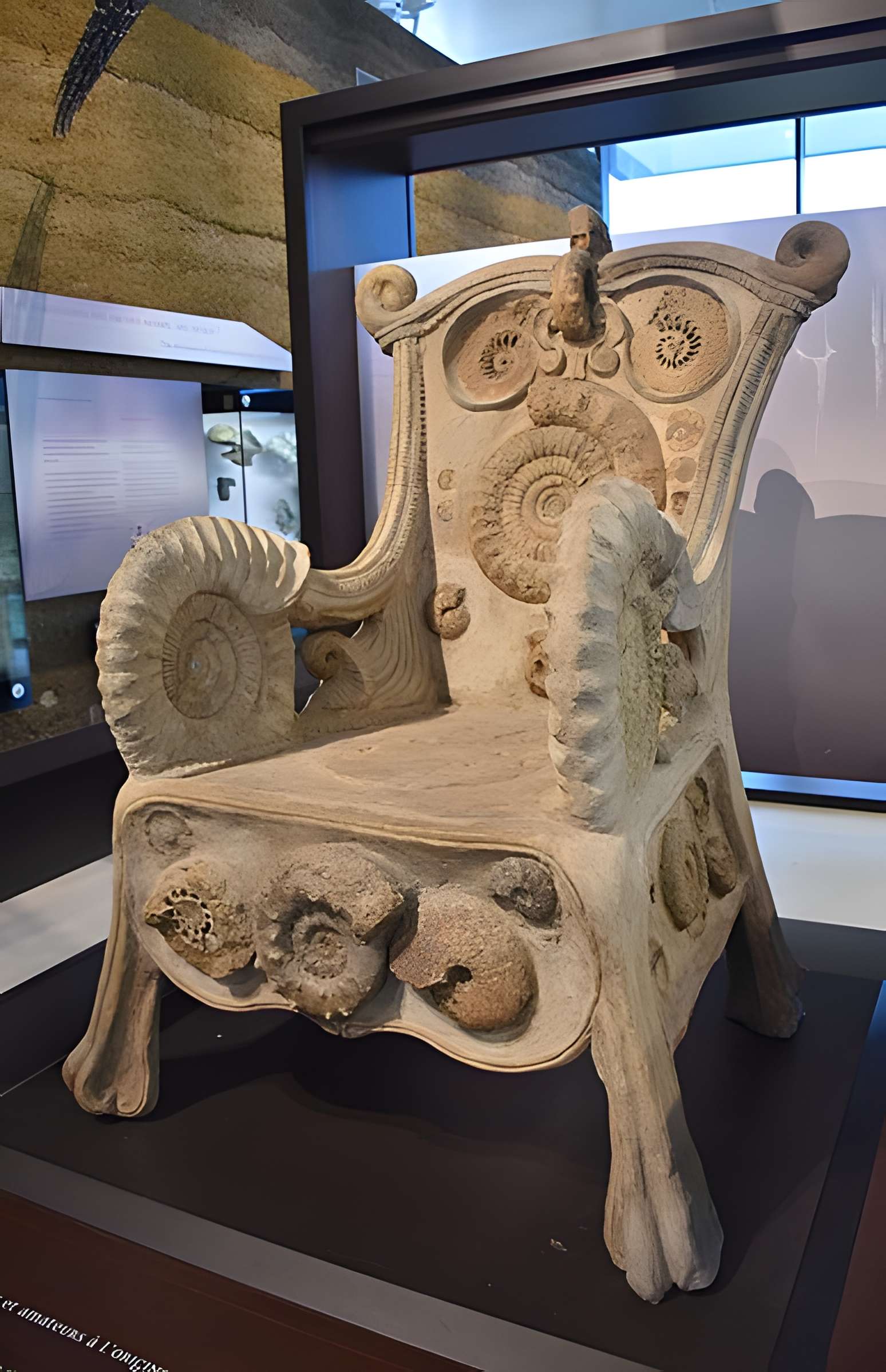 Musée paléontologique