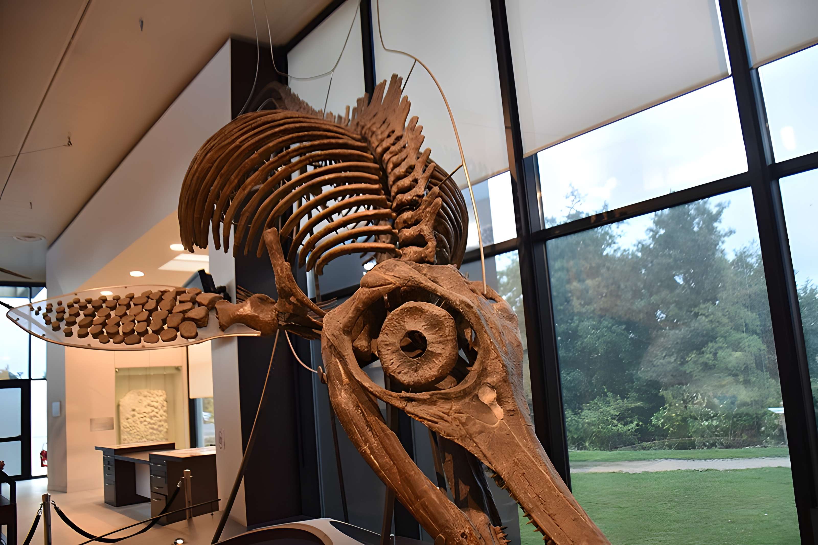 Musée paléontologique