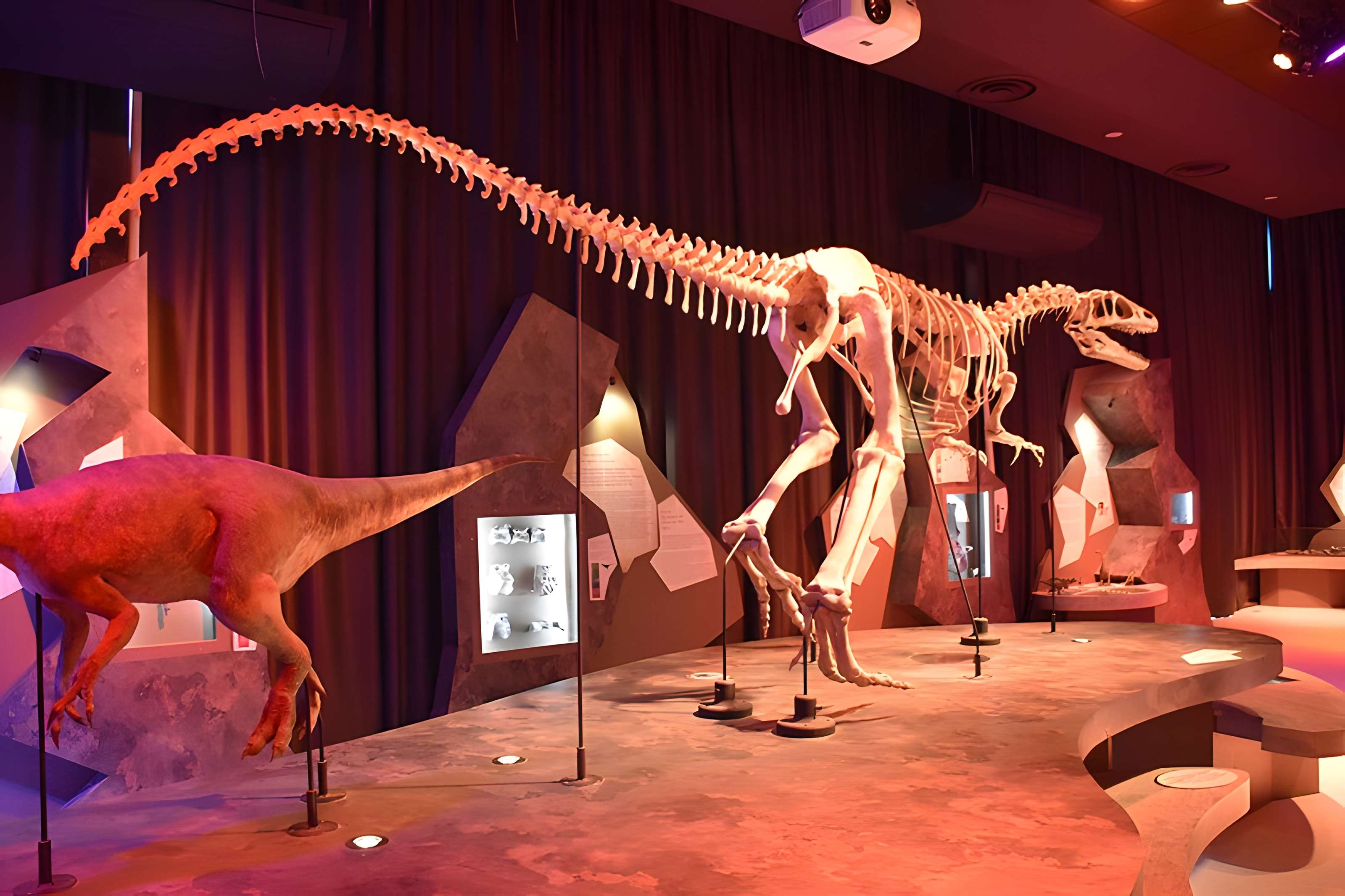 Musée paléontologique