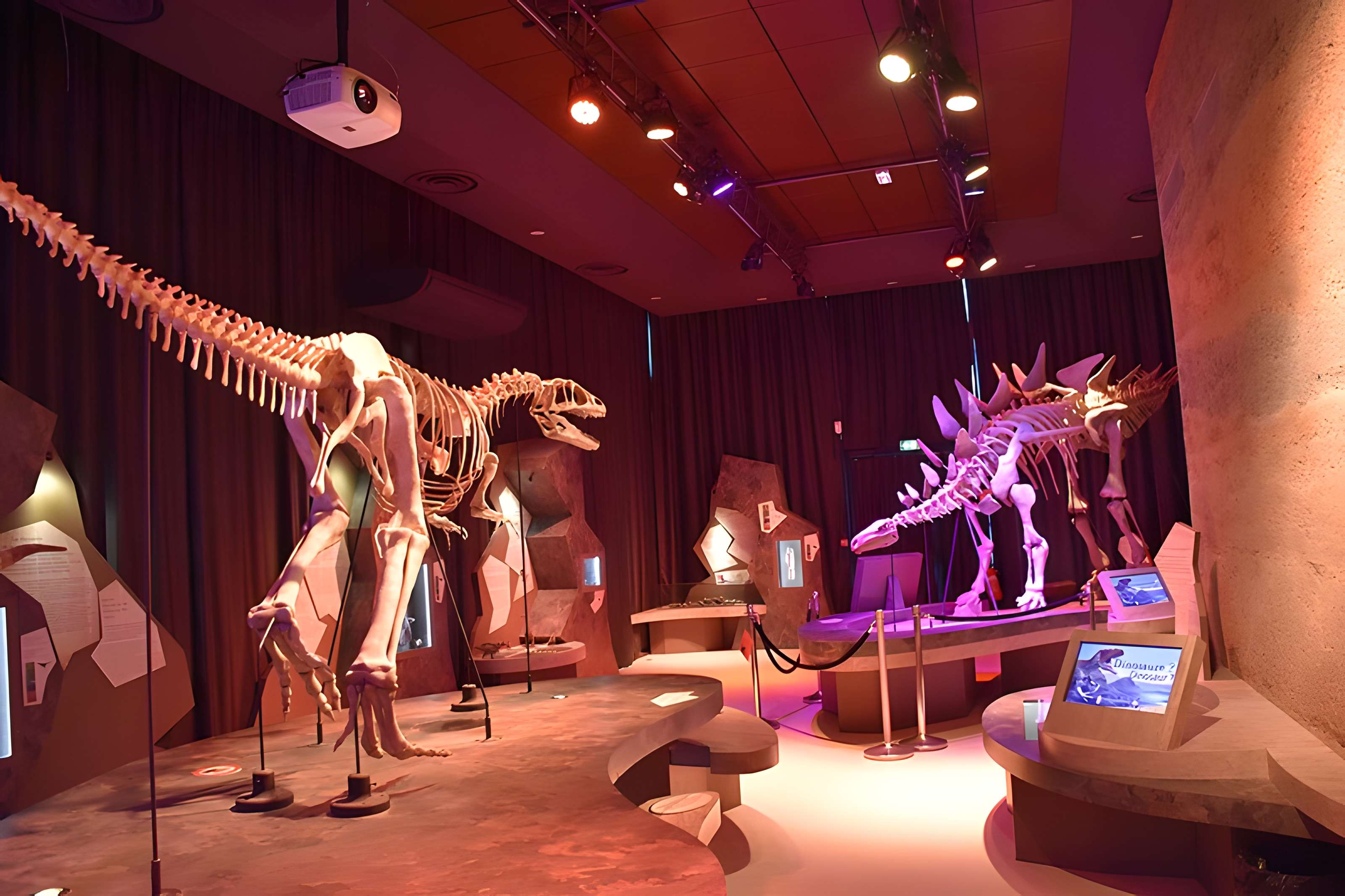 Musée paléontologique