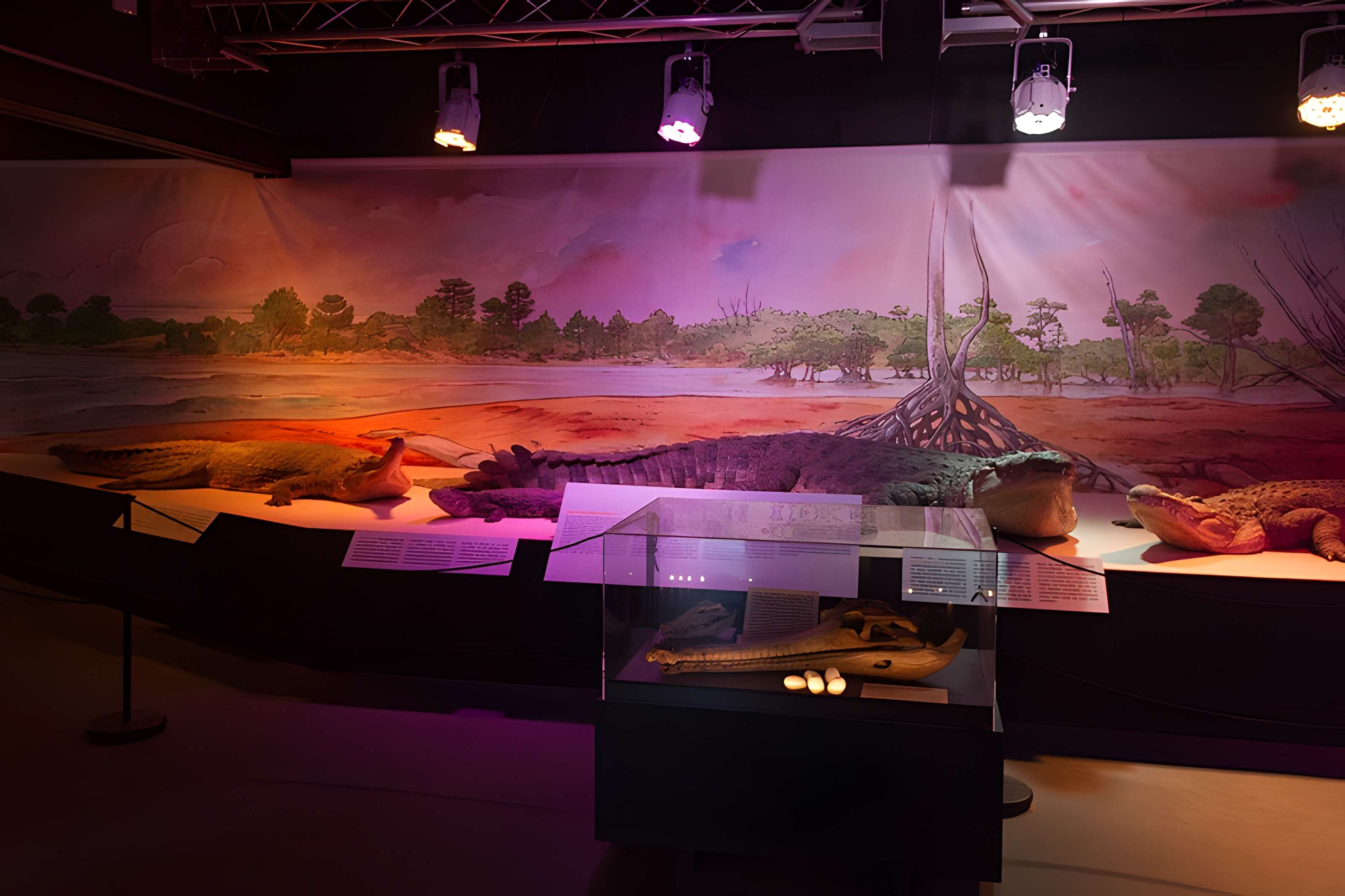 Musée paléontologique