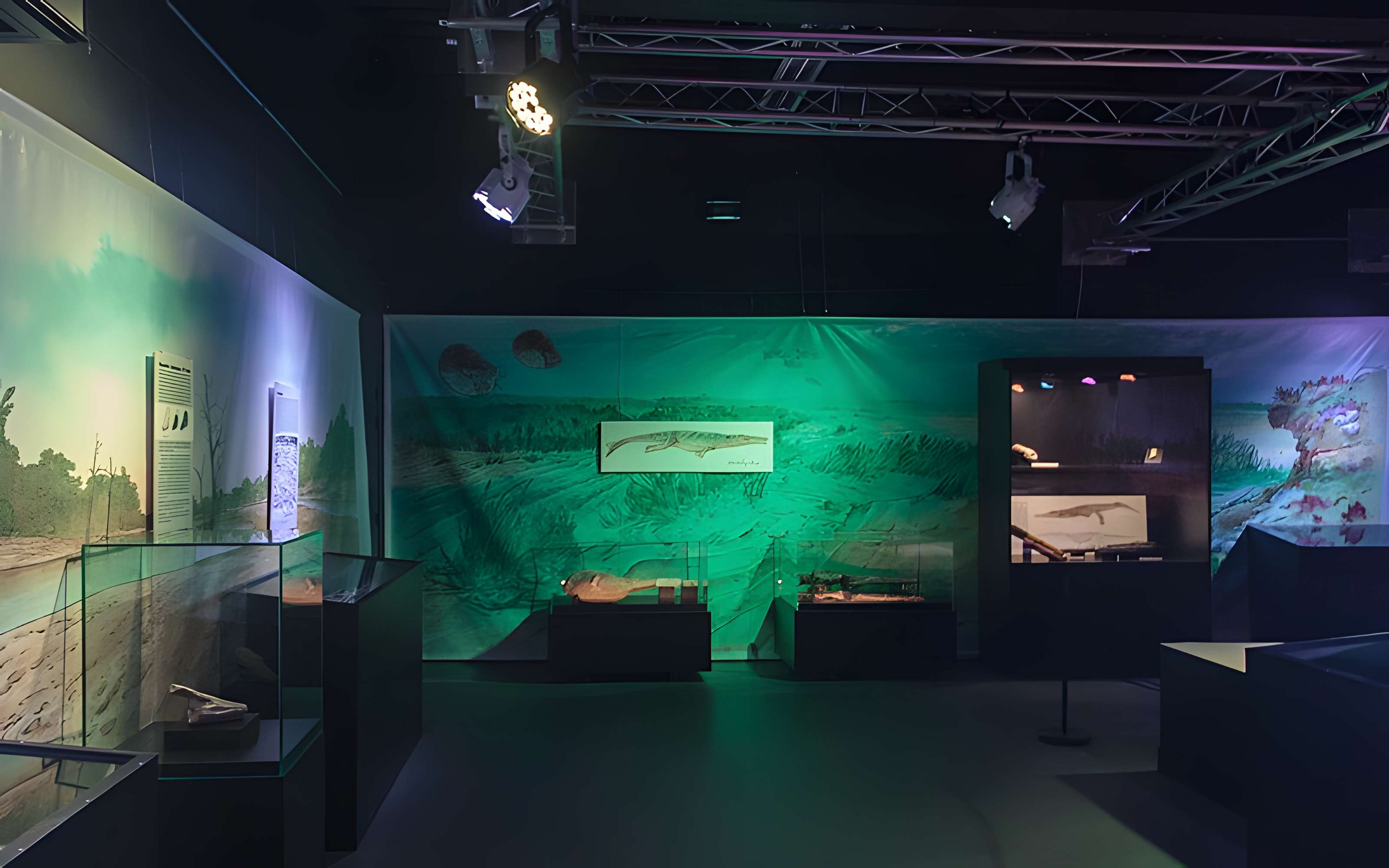 Musée paléontologique