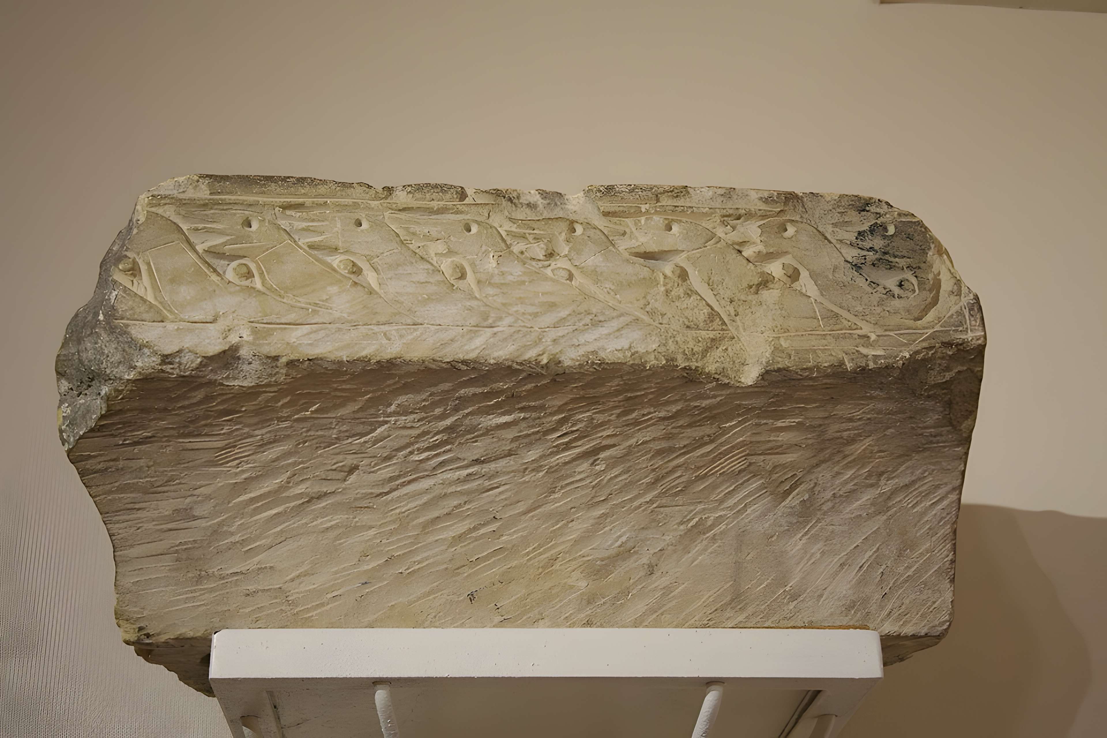 Musée de la Société des antiquaires de Normandie