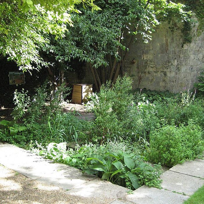 Photo de Musée dinitiation à la nature