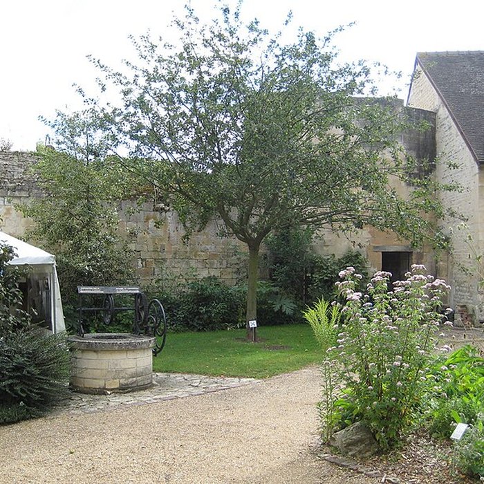 Photo de Musée dinitiation à la nature