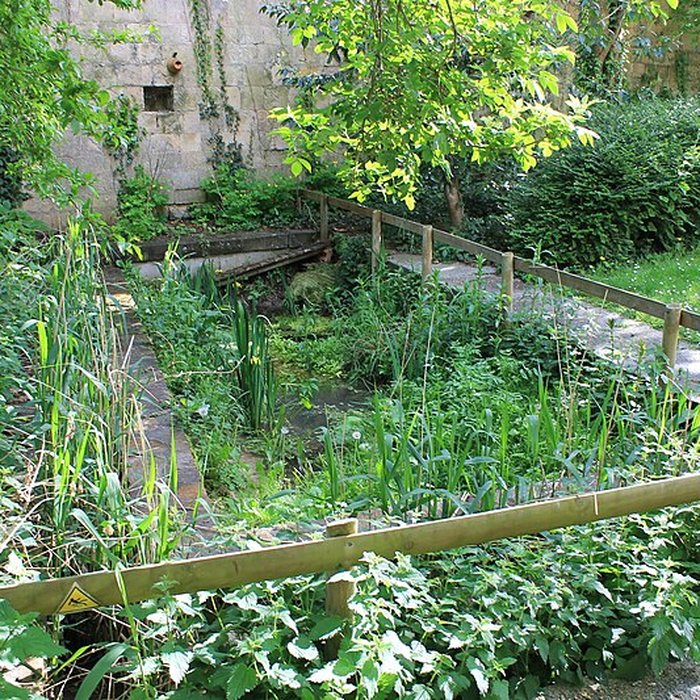 Photo de Musée dinitiation à la nature