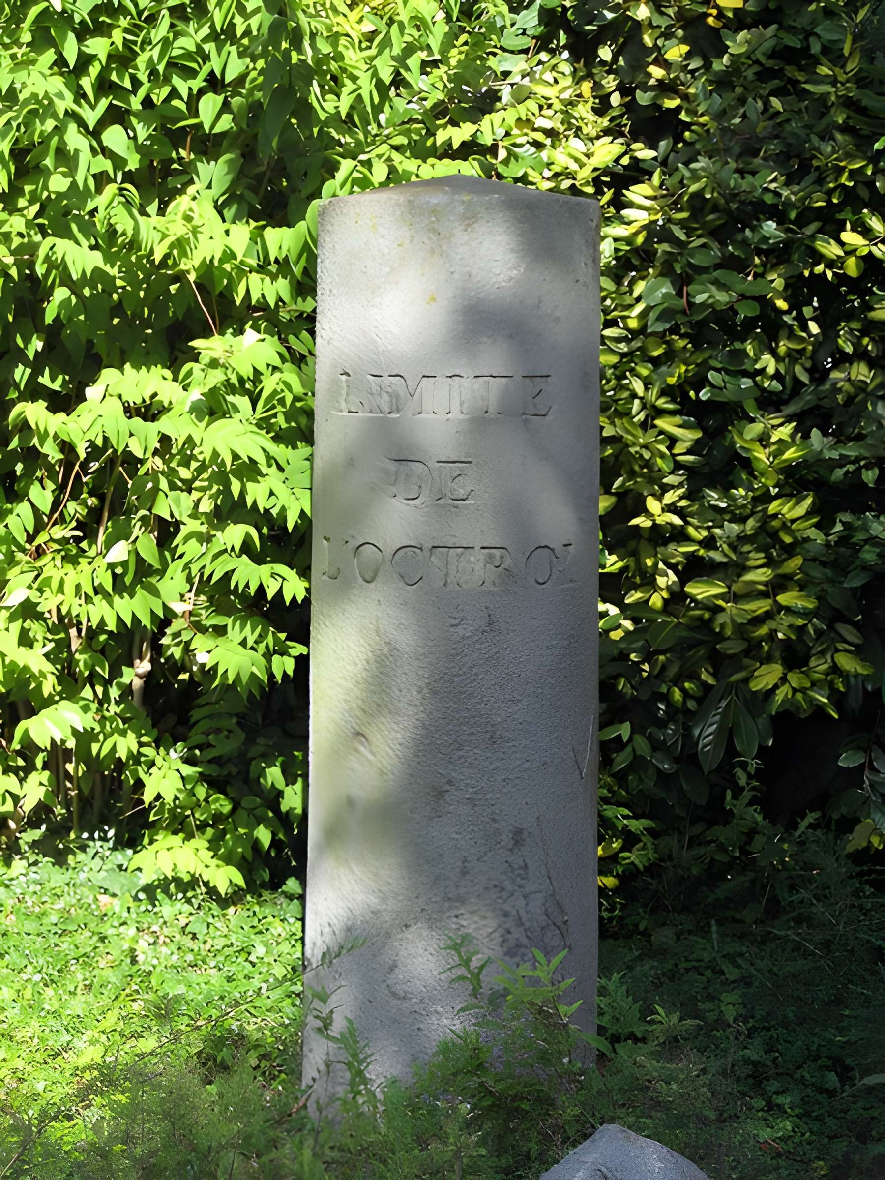 Musée d'initiation à la nature