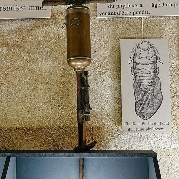 Photo de Musée municipal du Cognac