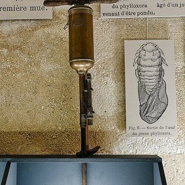 Musée municipal du Cognac