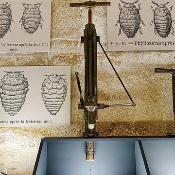 Musée municipal du Cognac