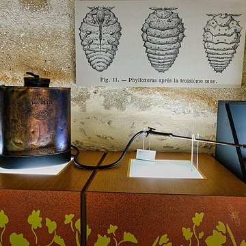 Musée municipal du Cognac