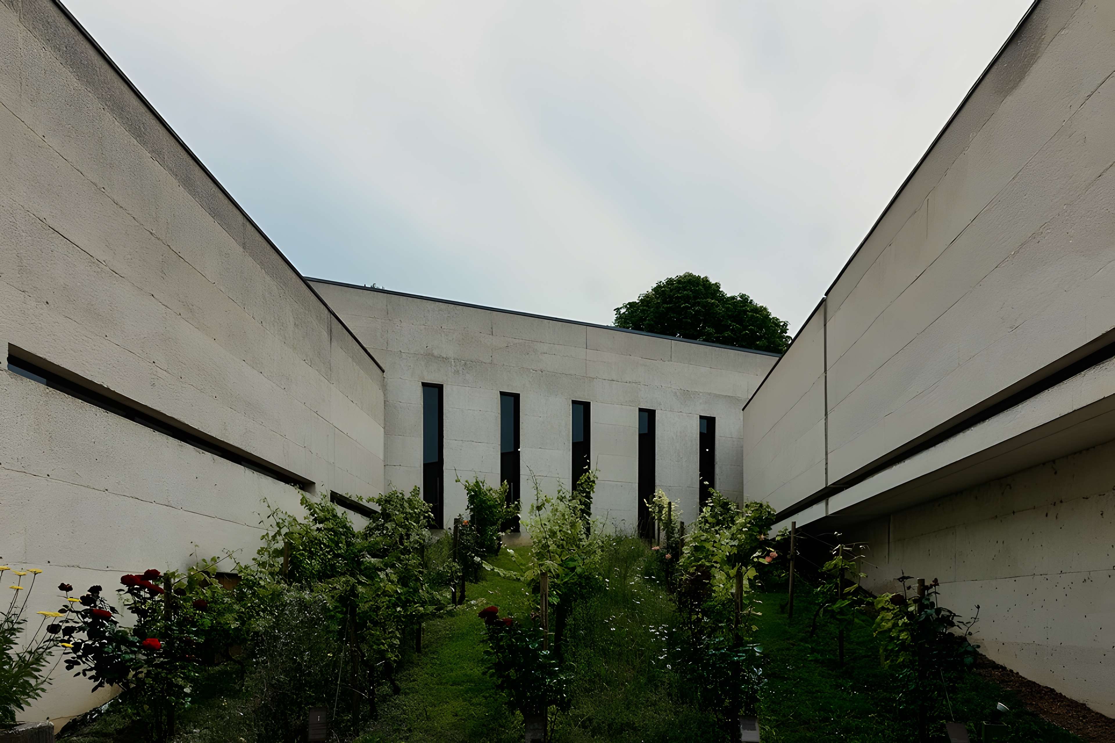 Musée municipal du Cognac