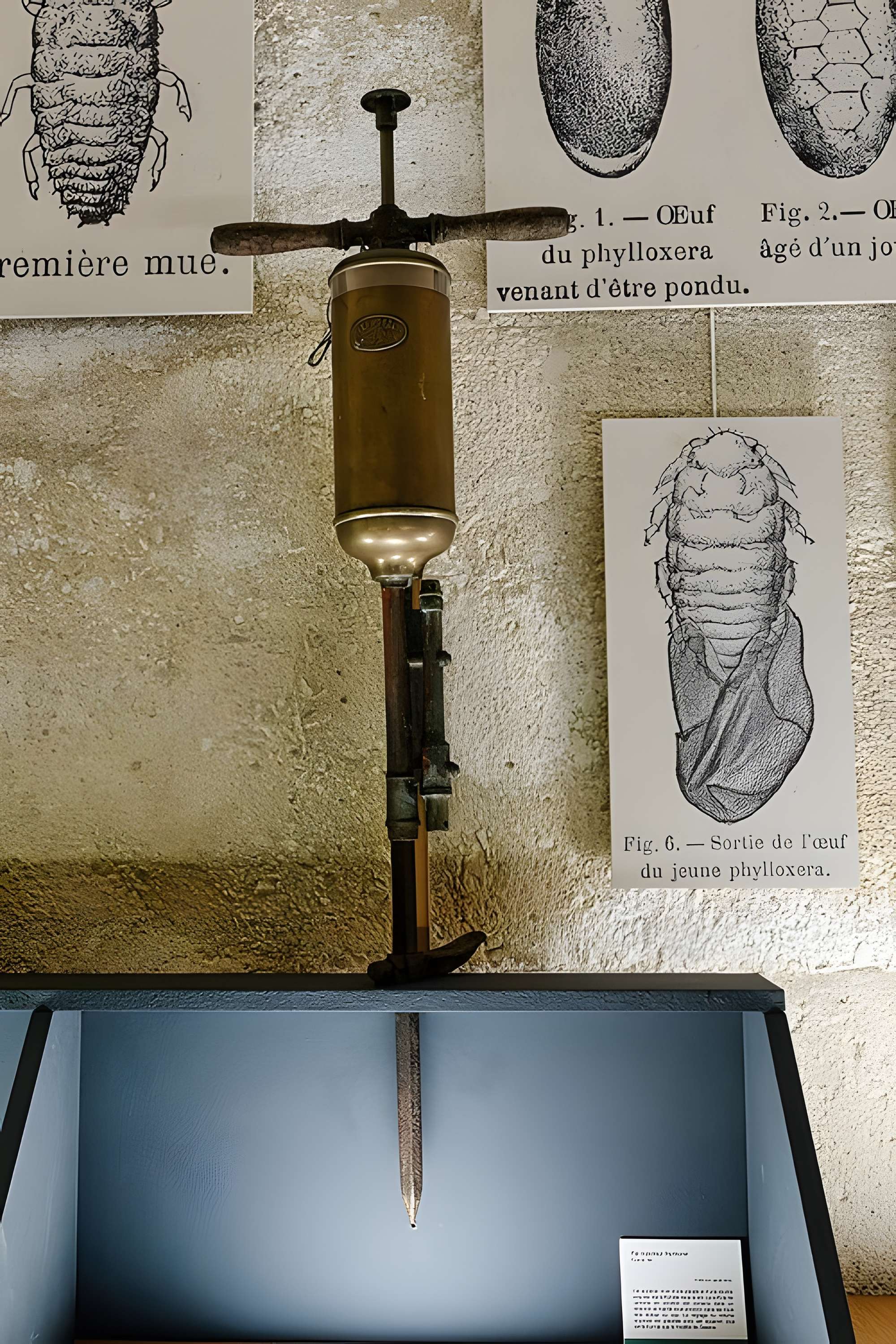 Musée municipal du Cognac