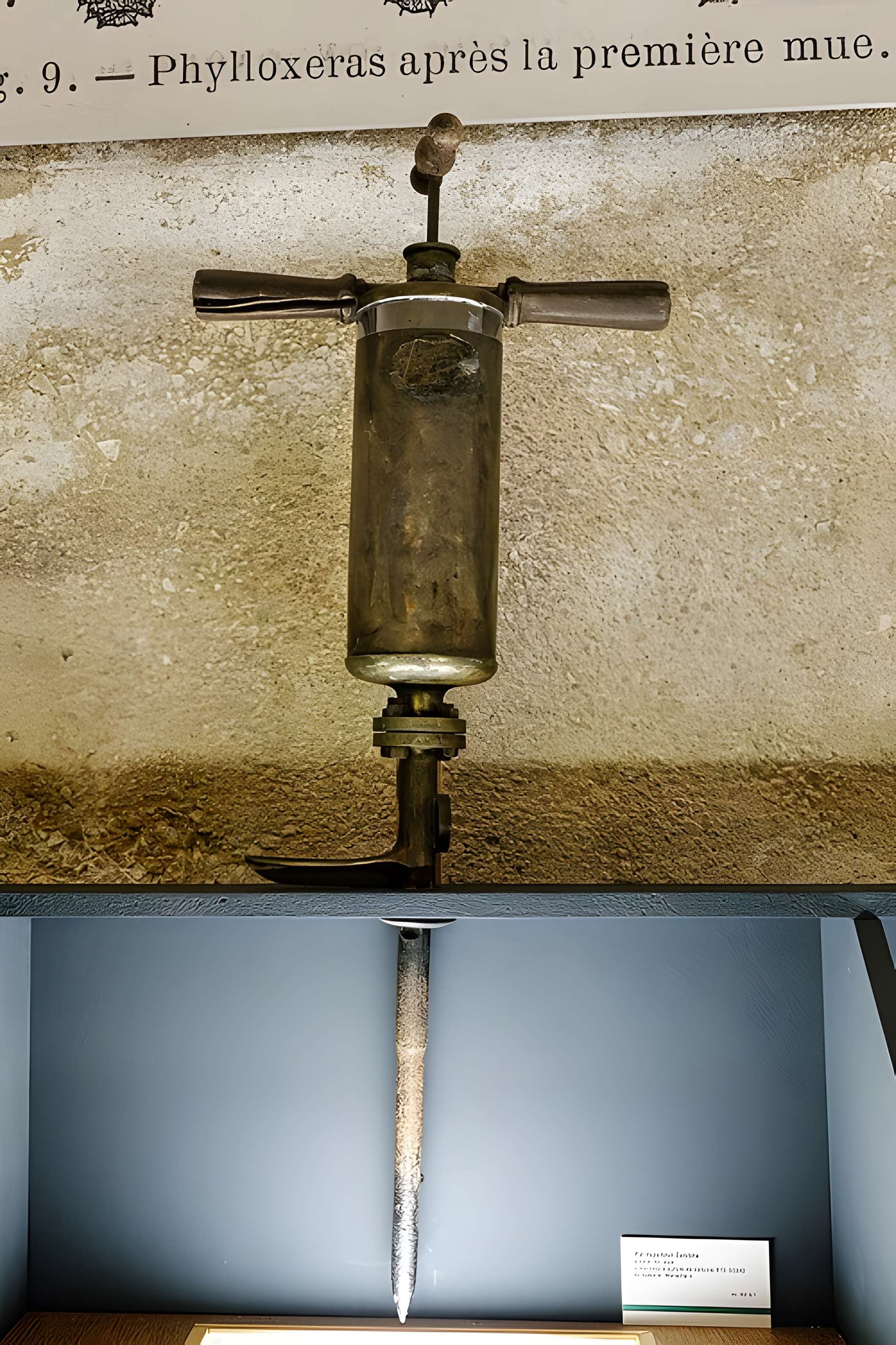 Musée municipal du Cognac