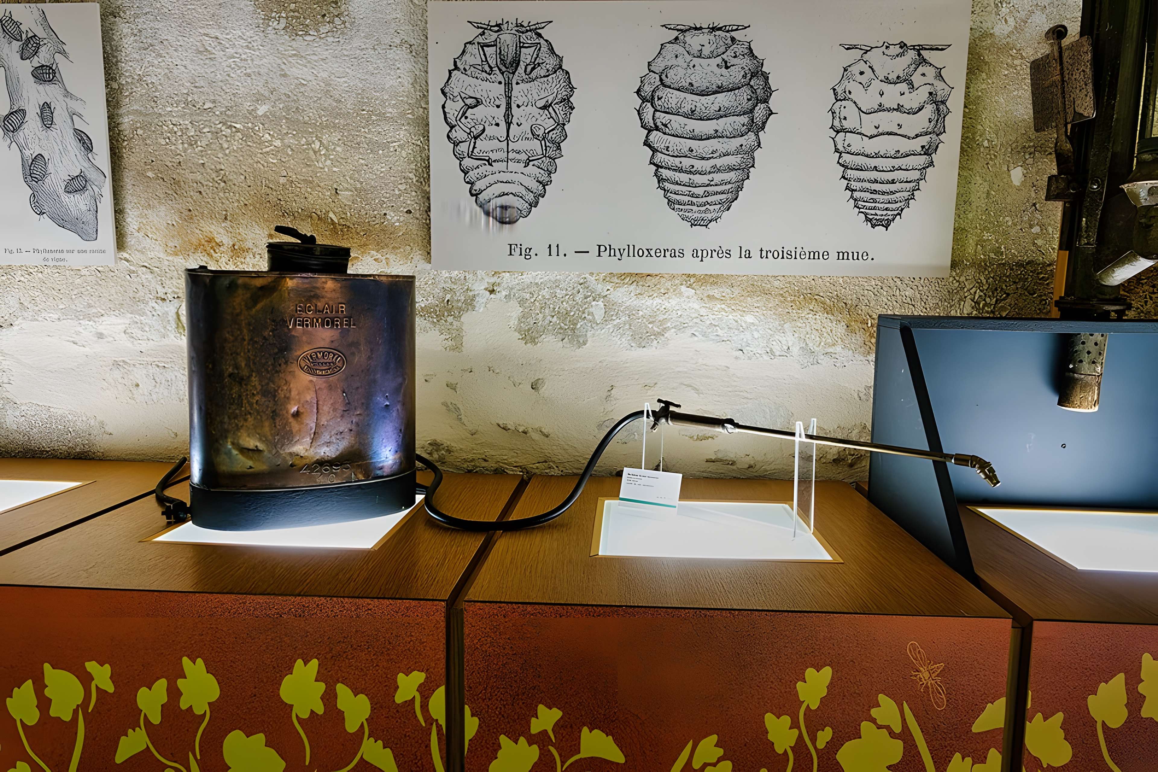 Musée municipal du Cognac