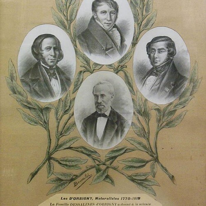 Photo de Musée dOrbigny Bernon