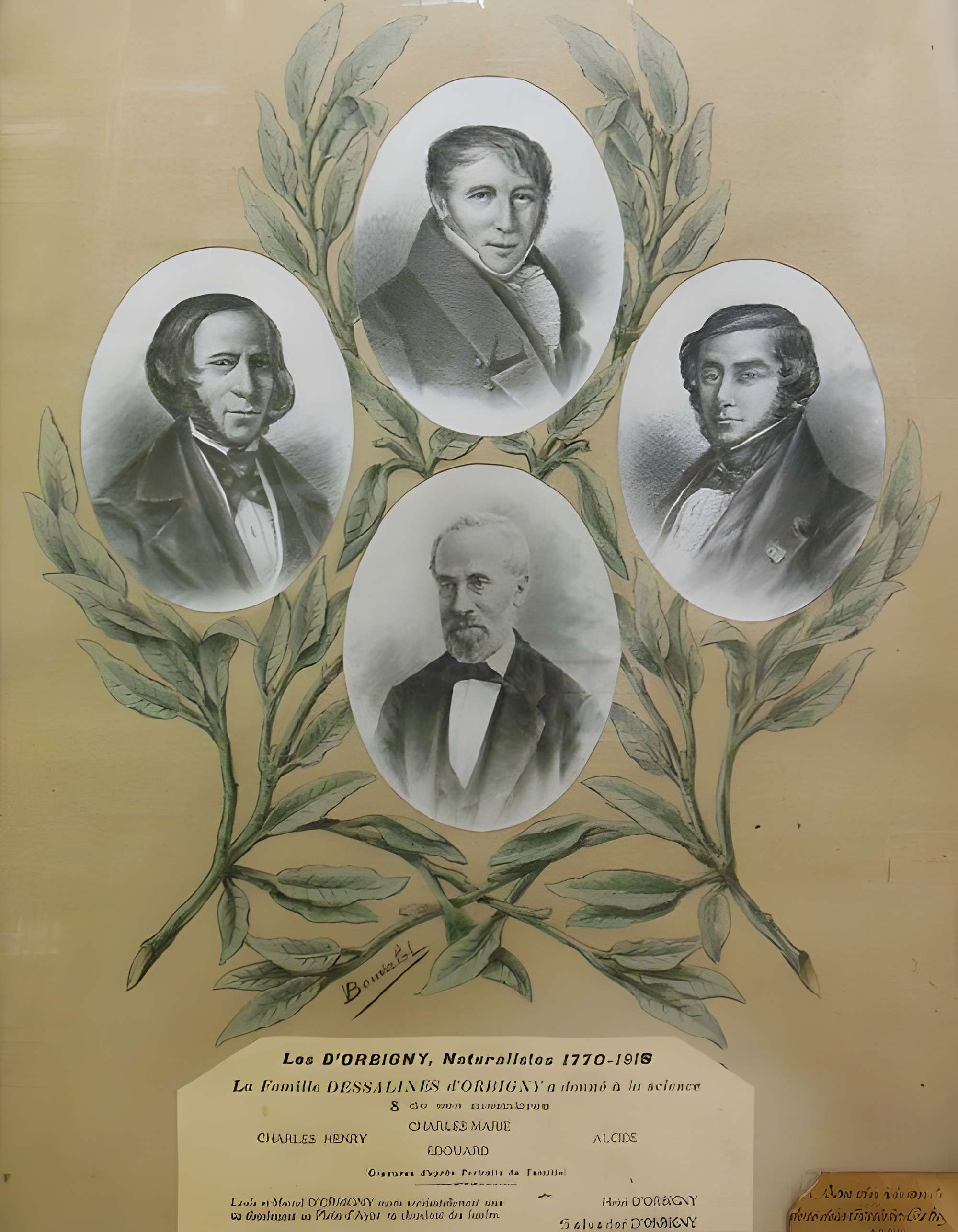 Musée d'Orbigny Bernon