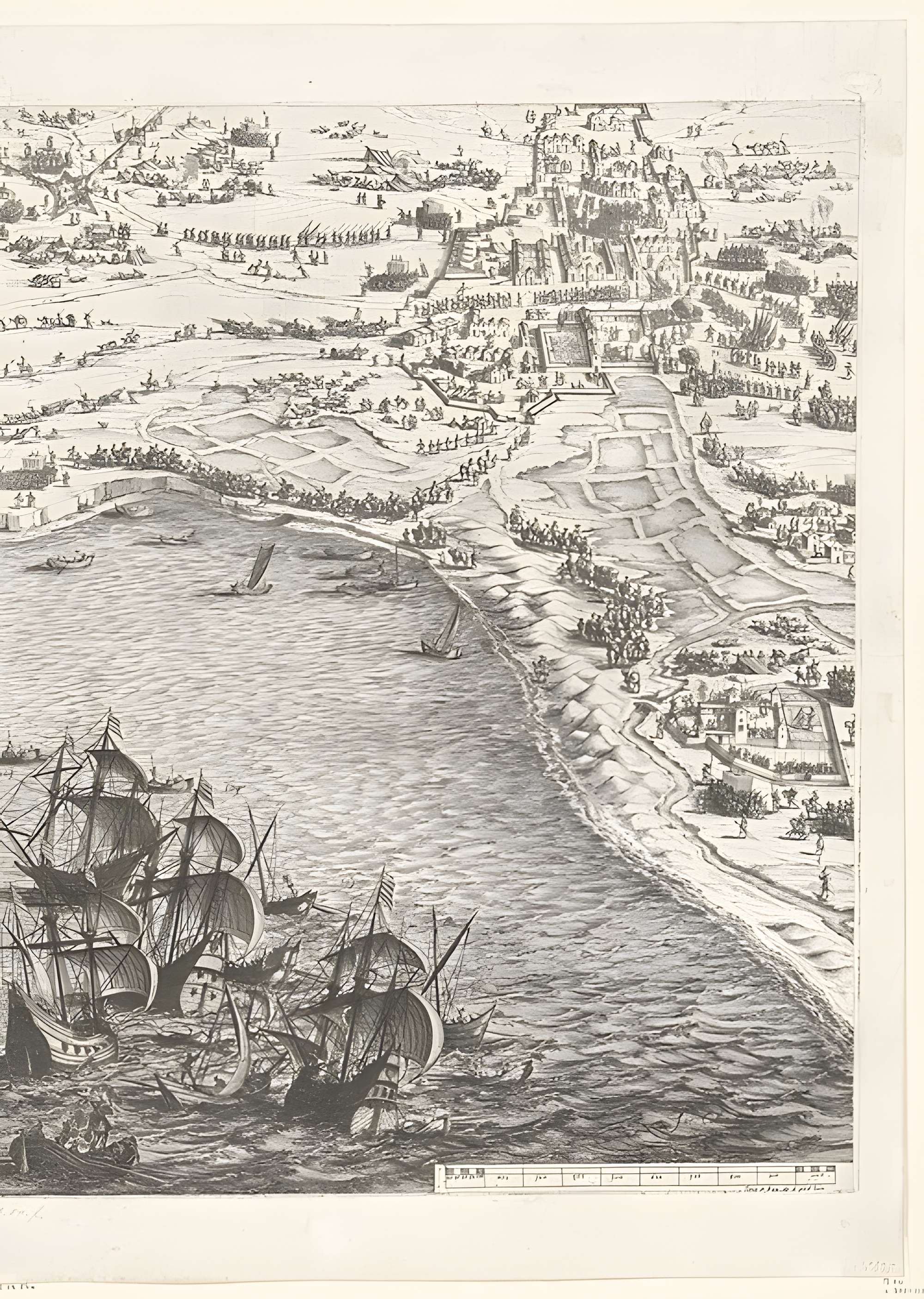 Musée d'Orbigny Bernon