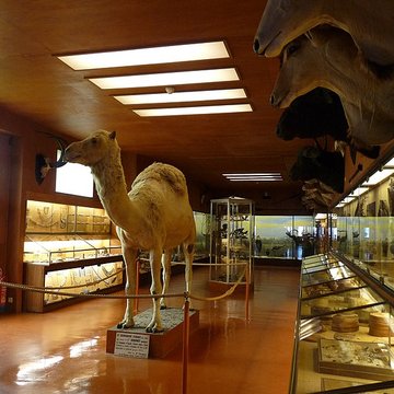 Musée napoléonien et musée africain annexes du musée national des châteaux de Malmaison et de Bois Préau
