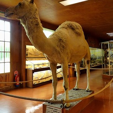 Musée napoléonien et musée africain annexes du musée national des châteaux de Malmaison et de Bois Préau