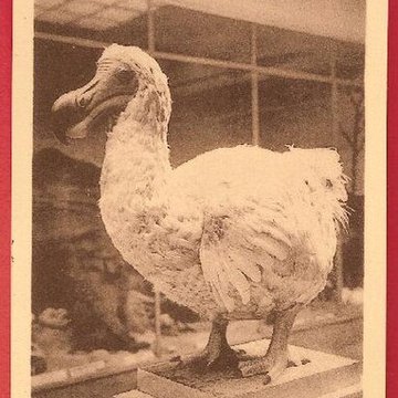 Musée napoléonien et musée africain annexes du musée national des châteaux de Malmaison et de Bois Préau